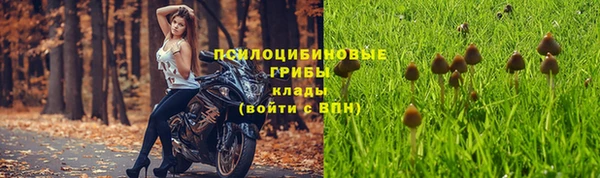 бошки Арсеньев
