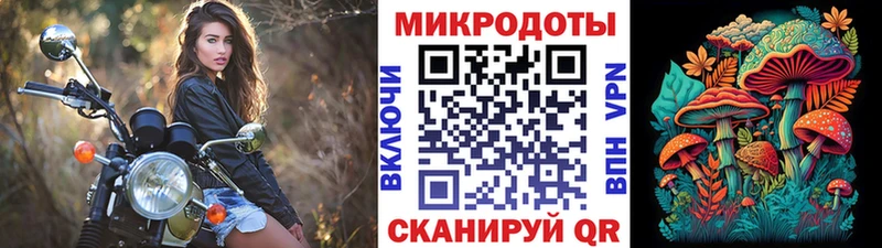 Купить  Трёхгорный  Галлюциногенные грибы Psilocybe 